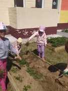 Наш огород.