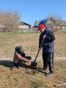 Посадка деревьев 2026