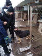 11.01.2025 - посещение пункта временного содержания животных «Верные друзья»