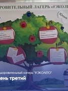 Оздоровительный лагерь "#ЭКОЛЕТО". День третий