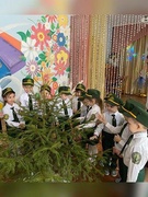 Юные друзья леса