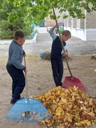 Наведение порядка на земле