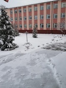 Благоустройство гимназии