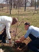 Общественный смотр.День четвертый. Патриотические экологические акции. Воспитательные мероприятия, уроки