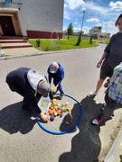 «Полезные и вредные привычки»