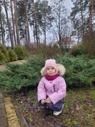 Сбережем елочку