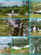 Мониторинг запрещенных для купания мест. 14.07.2025 - 18.07.2025