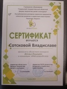 || этап областного конкурса "Взгляд в будущее"