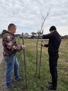 Санитарная пятница