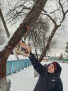 Акция « Поможем птицам зимой»