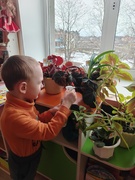 Труд в уголке природы
