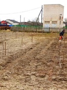 Усе разам на суботнік!
