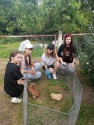 Трудовая практика в ГУО "Мозырский центр творчества детей и молодежи"