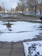 Акция #ЗаДело