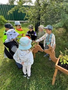 Юные исследователи природы