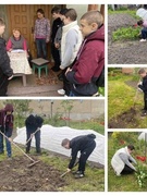 Акции "Ветеран живёт рядом"