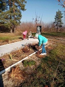Первый день осенних каникул. Работа волонтерского отряда в д.Бронислав.