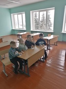 Участие в онлайн-экоринге "Мы друзья природы", 05.02.2022