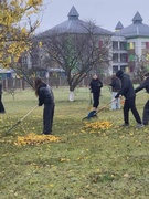 Акция "Чистый двор"