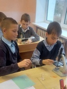 Практические занятия