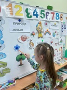 Карусель знаний