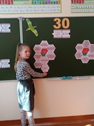 Мероприятия, приуроченные Дню Конституции Республики Беларусь