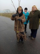 Акция "Пусть везде будет чисто"