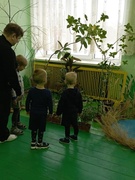 Адукацыйная галіна "Дзіця і прырода"