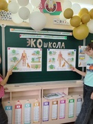 Работа школьного оздоровительного лагеря "ЭКОшкола". День" Проблемы мусора"