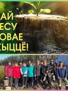 Акция "Дай лесу новае жыццё"