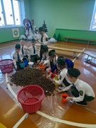 "Мурашки" и секреты сосновых шишек