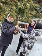 Операция кормушка