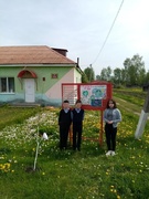 Проект "Зелёные школы". 3 этап