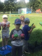 Развлечение Во саду ли в огороде