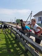 Летняя трудовая практика