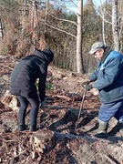 Акция "Дай лесу новае жыццё".