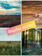 Фотаконкурс "Фарбы Восенi"
