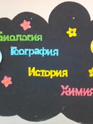 День географии, химии, биологии, истории, обществоведения, искусства, трудового обучения