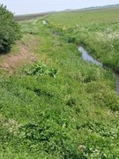 Лагерь труда и отдыха "Рубеж" 07.06.2025