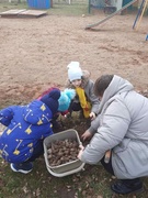 Месячник по наведению порядка