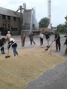 Будни летнего трудового лагеря "Ударник"