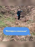 «Беларусь синеокая»