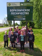 Поход-экскурсия в Борковичское лесничество