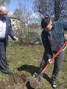 АКЦЫЯ "КВІТНЕЙ, ЯБЛЫНЕВЫ САД!"