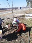 Областной субботник