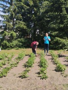 Лагерь труда и отдыха "Ритм"