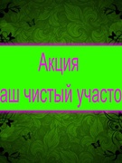 Акция "Наш чистый участок"