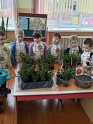 Совместная  посадка семян цветов