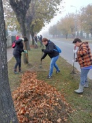 Субботник 20-10-2018