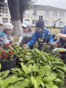 Наше лето в трафаретах